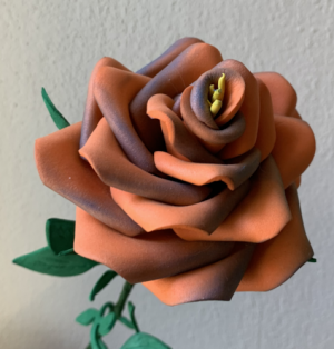 Rosa gomma eva